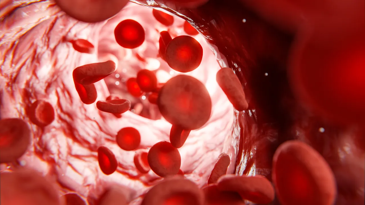 Cholesterol
