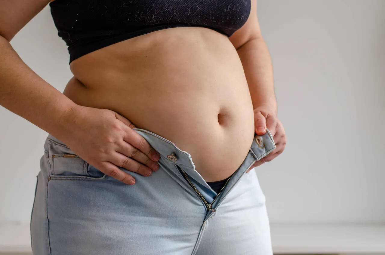 Fat body 