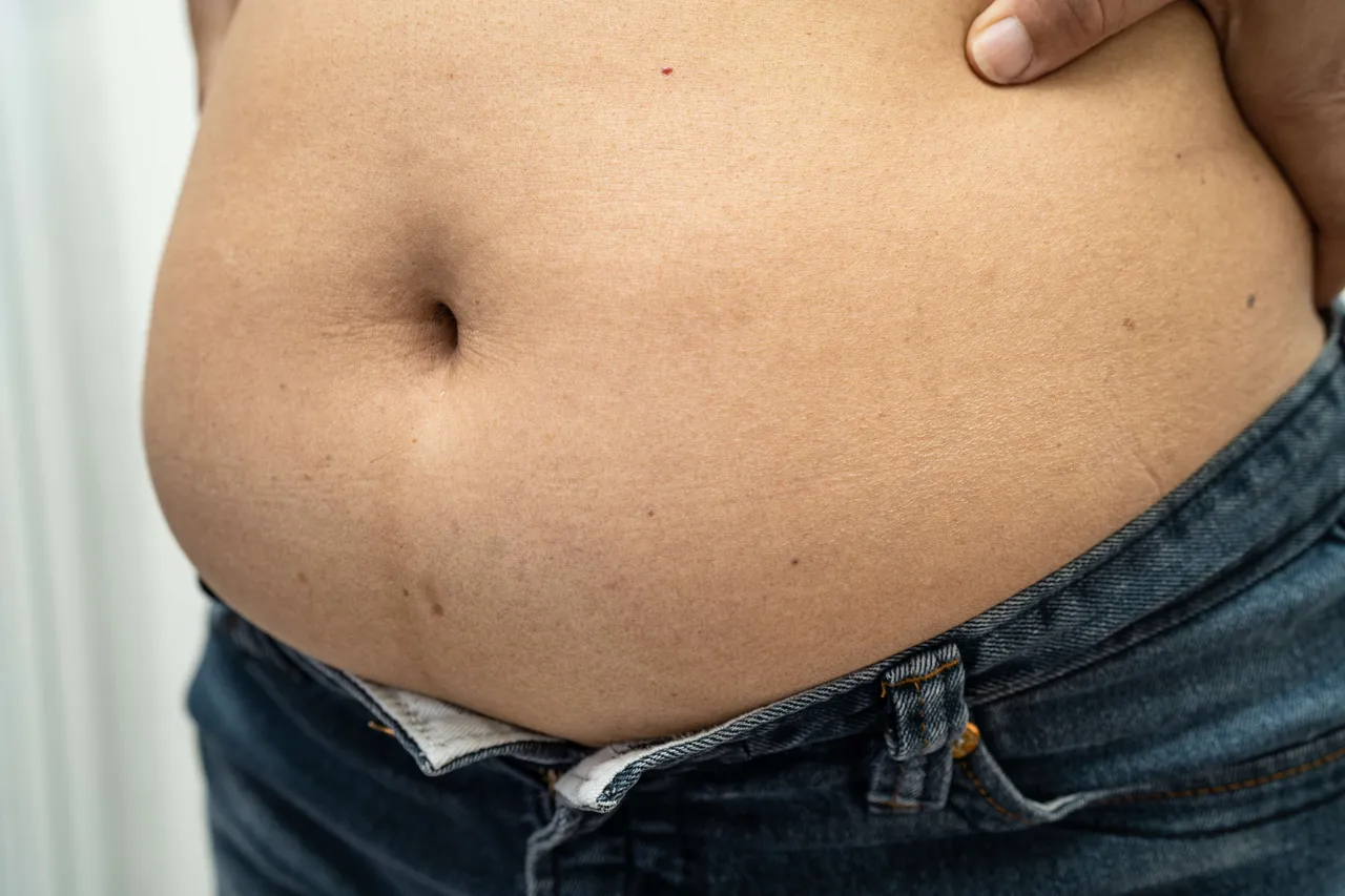 Fat body 