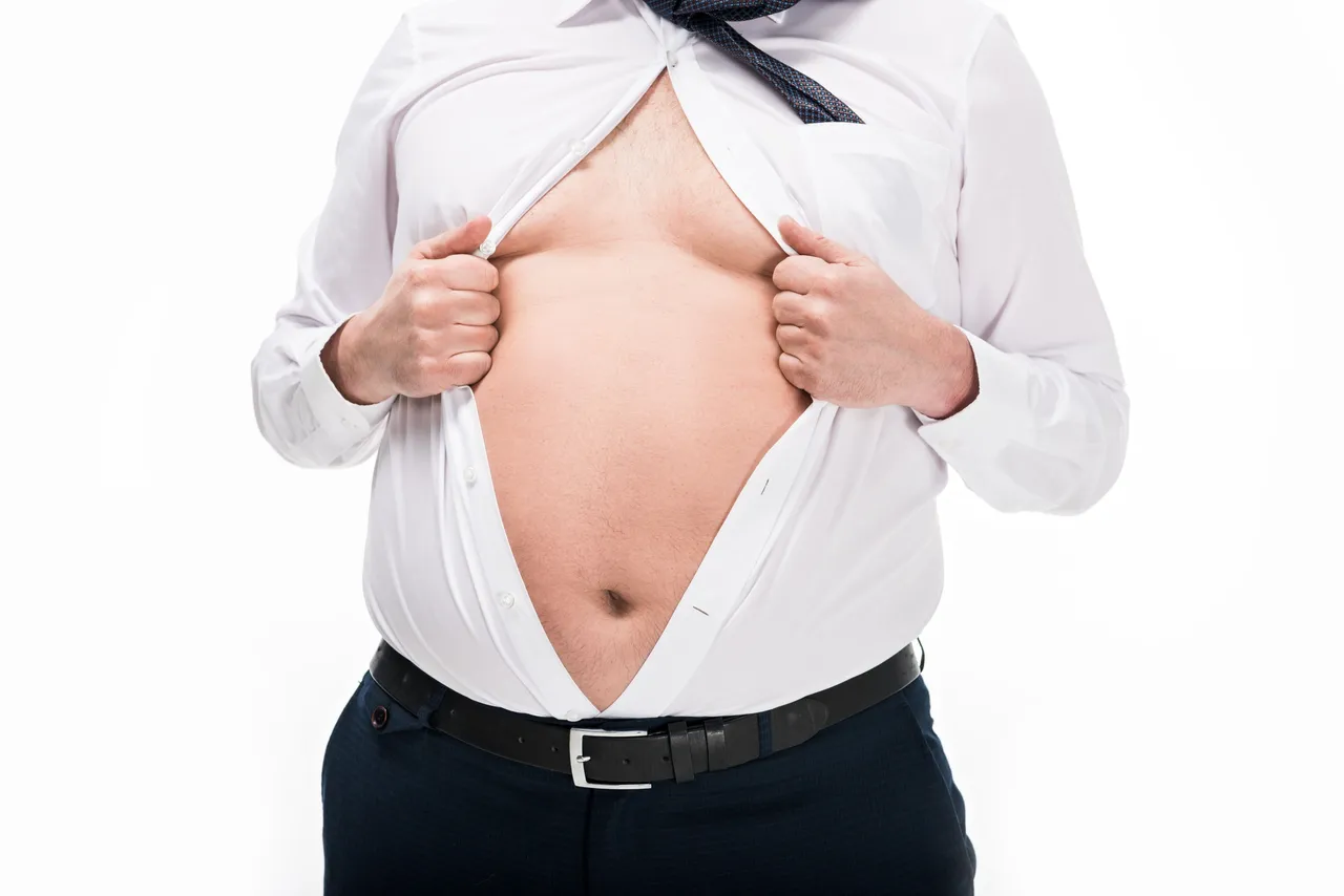 Fat body 