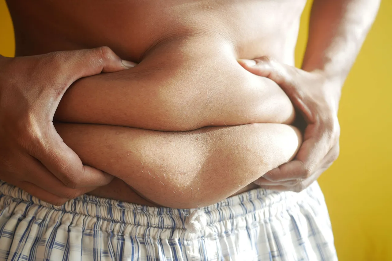 Fat body 