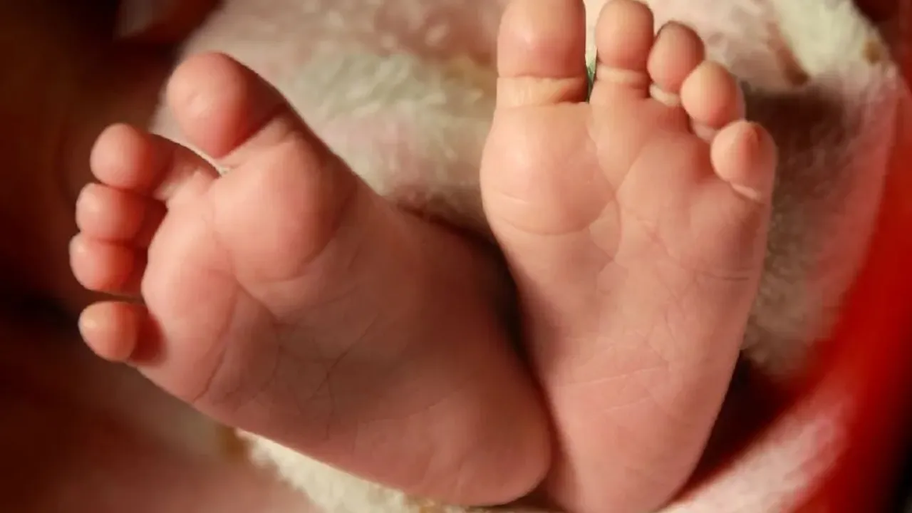 Newborn