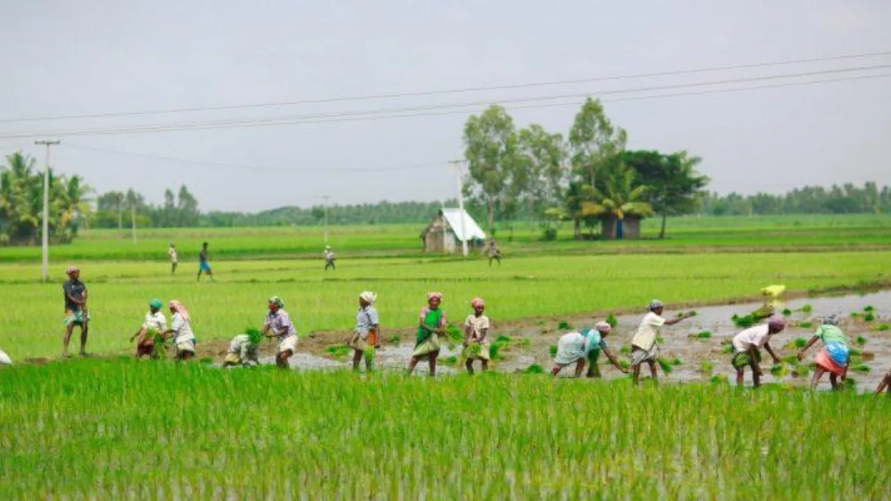 tg farmers