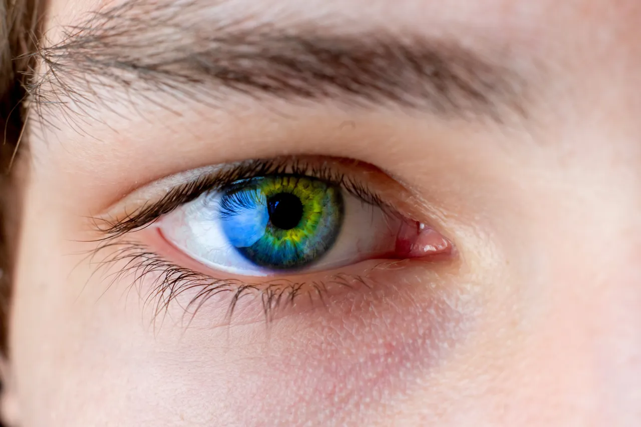 eye sight 