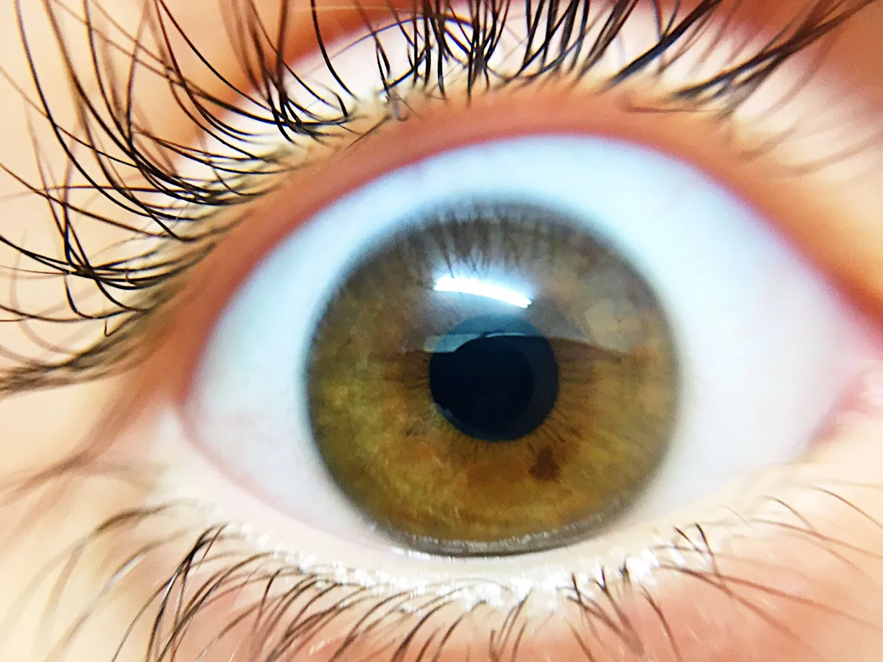 eye sight 