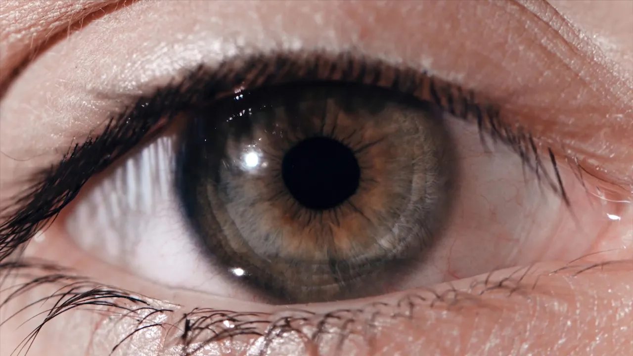 eye sight 