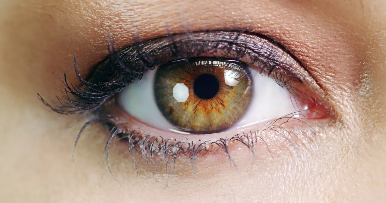 eye sight 
