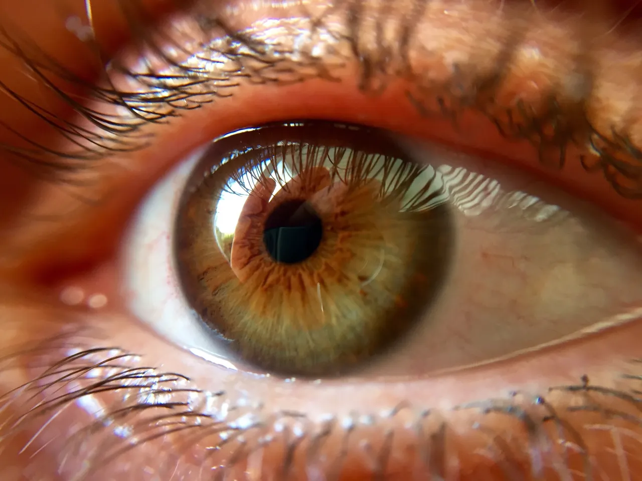 eye sight 