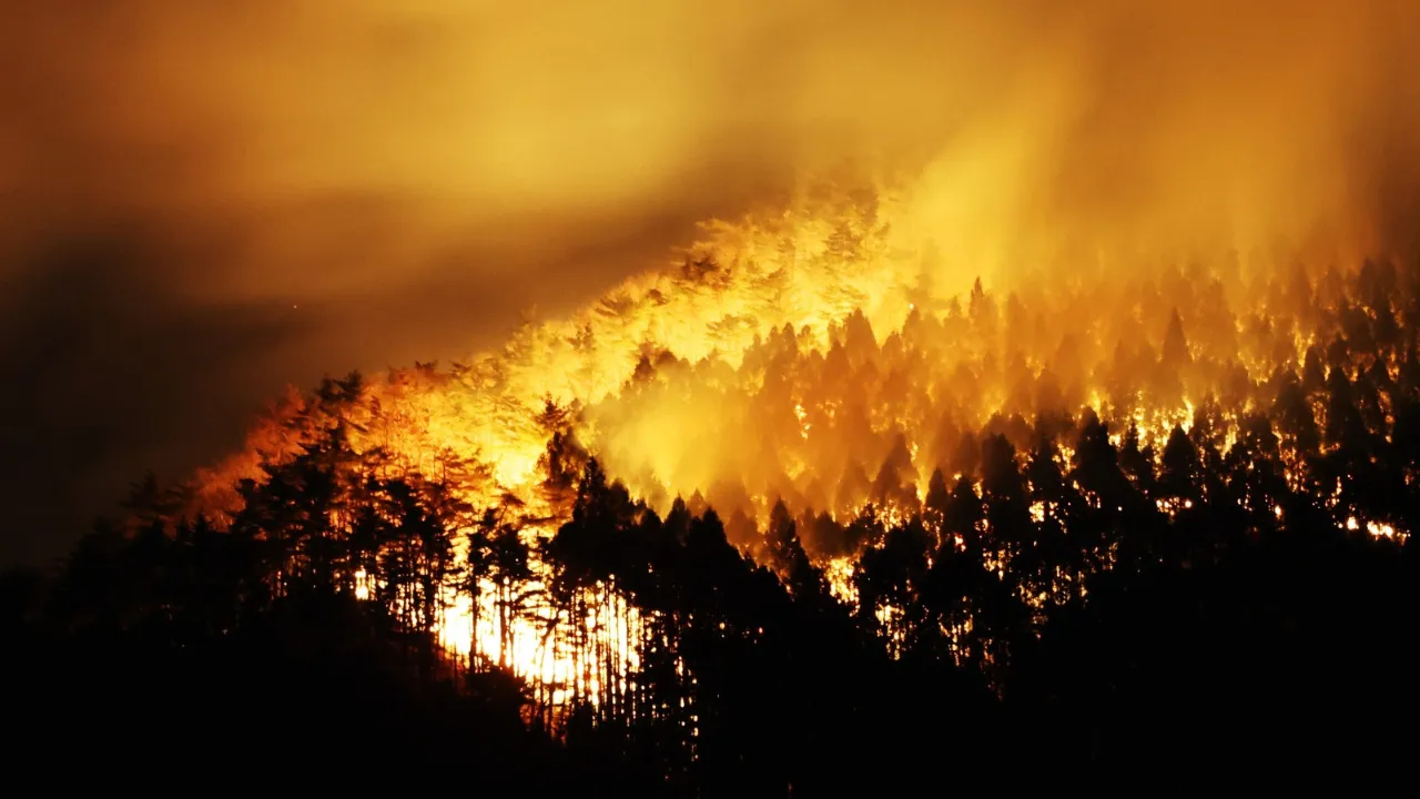 Wildfire in Japan