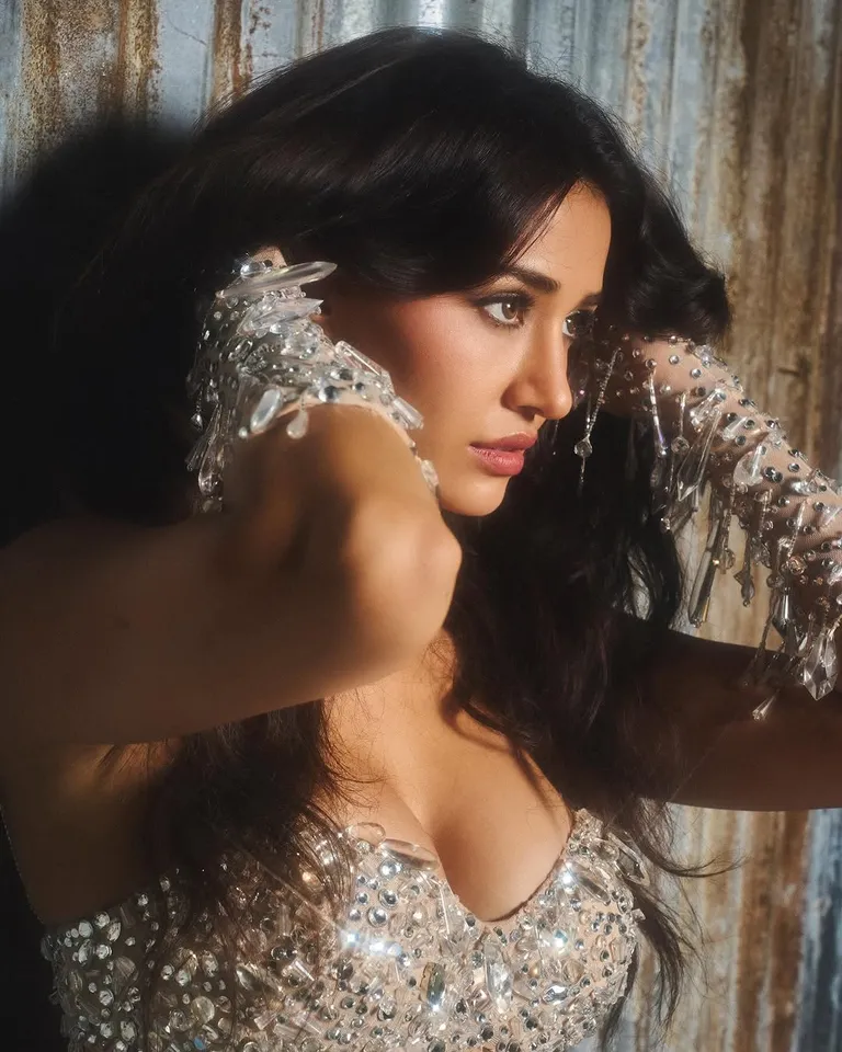 Disha Patani  glamorous photos