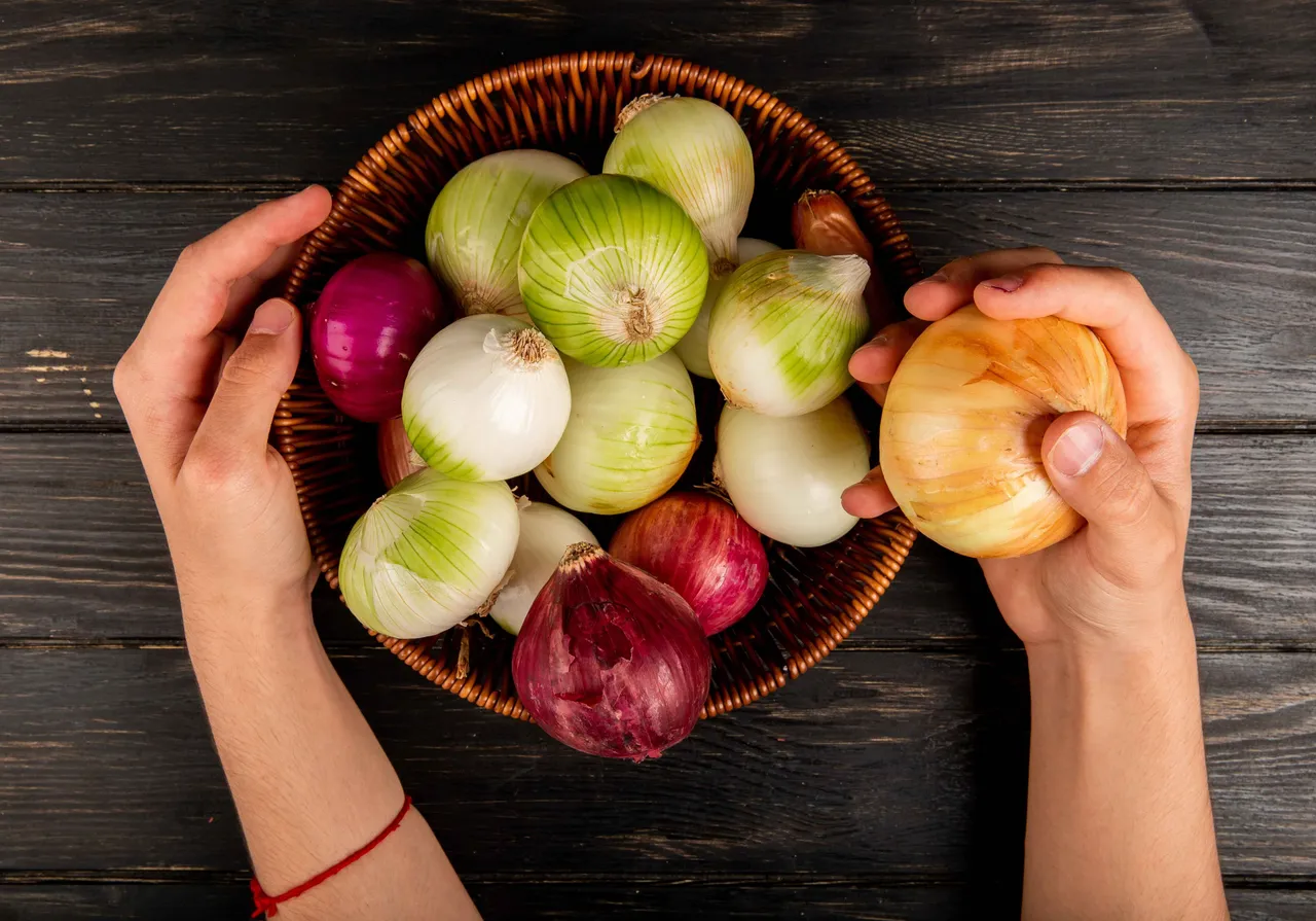 Onion 