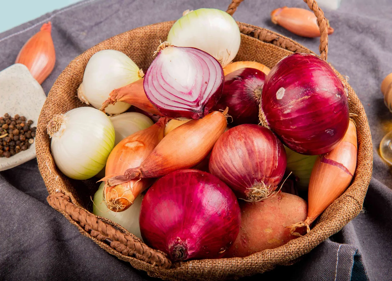 Onion 