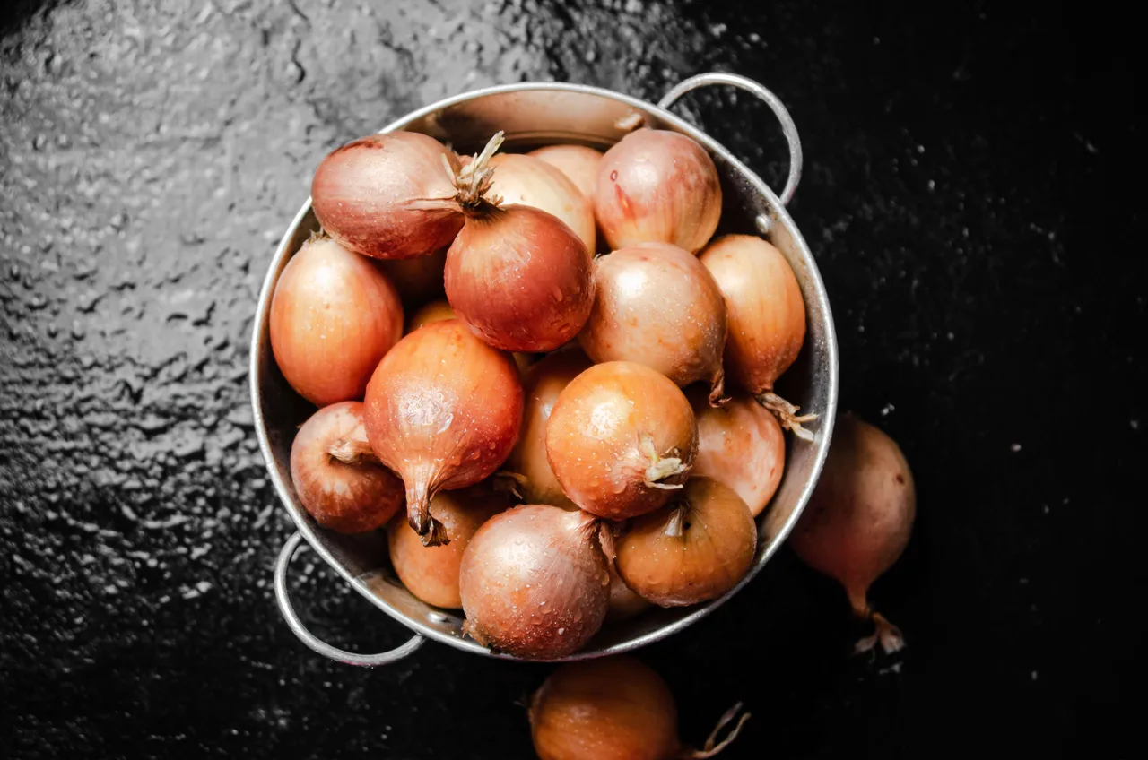 Onion 