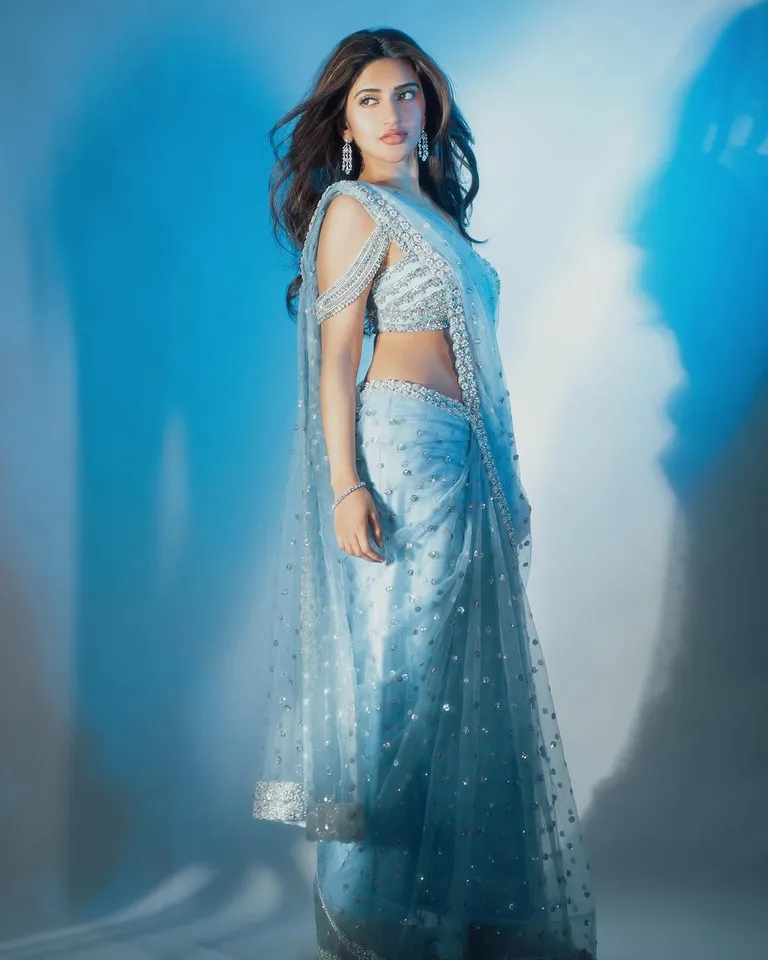 SREELEELA BLUE SAREE LOOKS