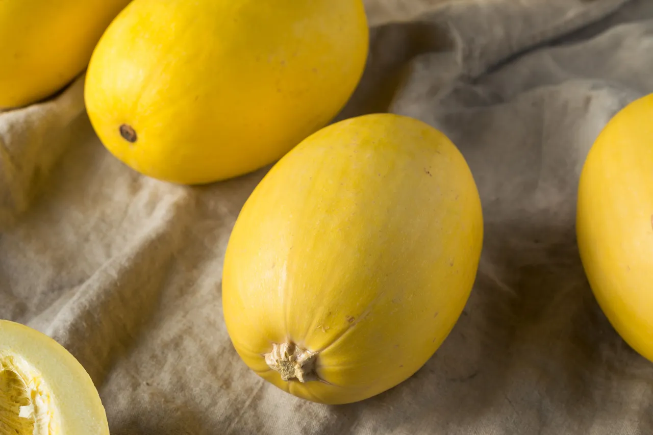yellow cucumber 