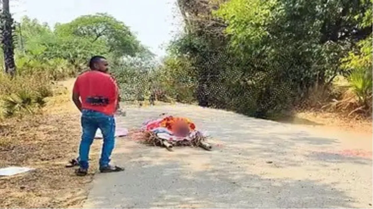 honey bees attack during funeral at Alluri Sitarama Raju District of ap