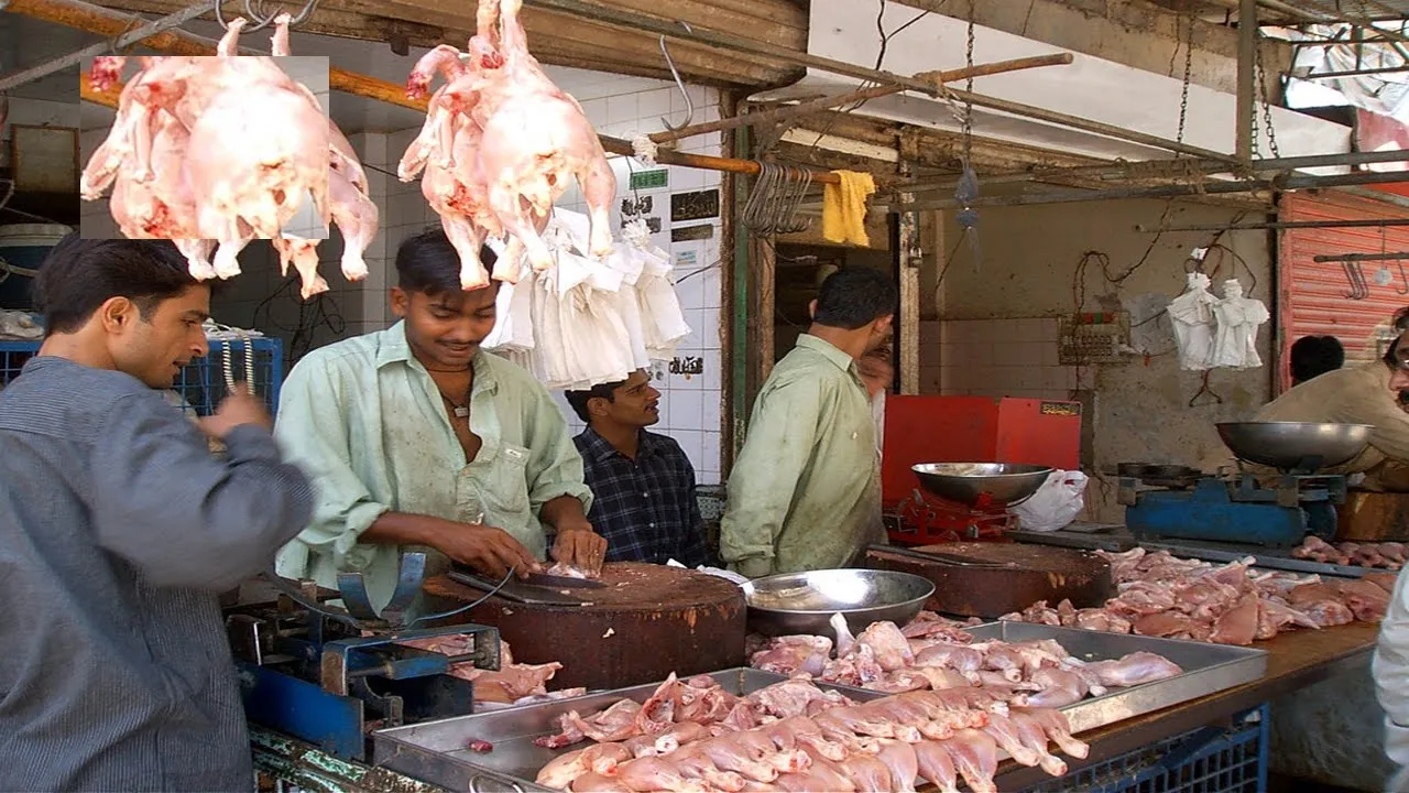 chicken-price ramdan 