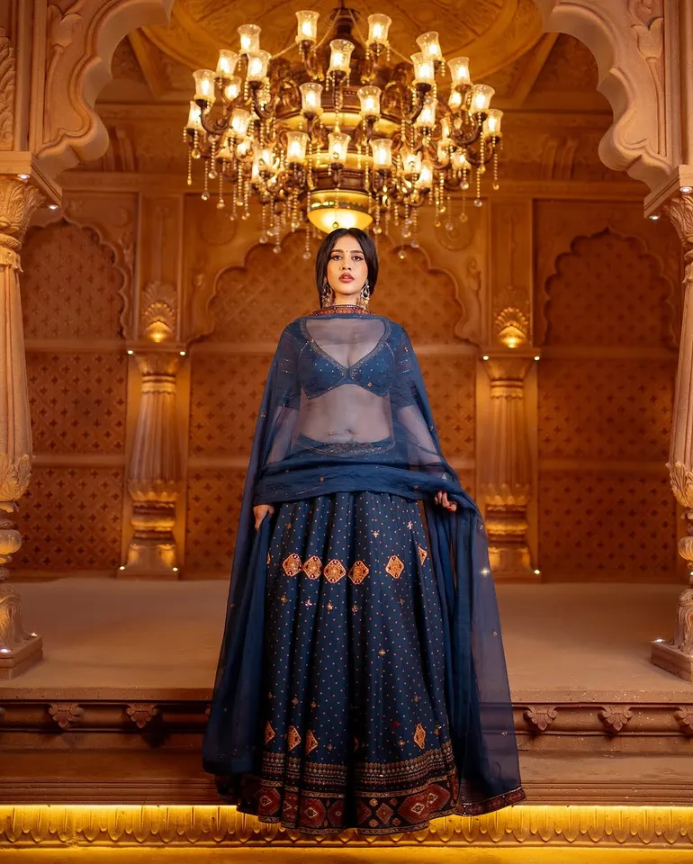 Nabha half saree stunning pics