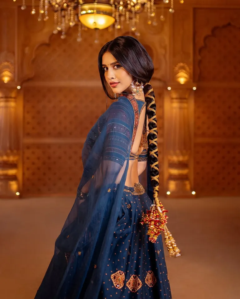 Nabha Natesh half saree pics