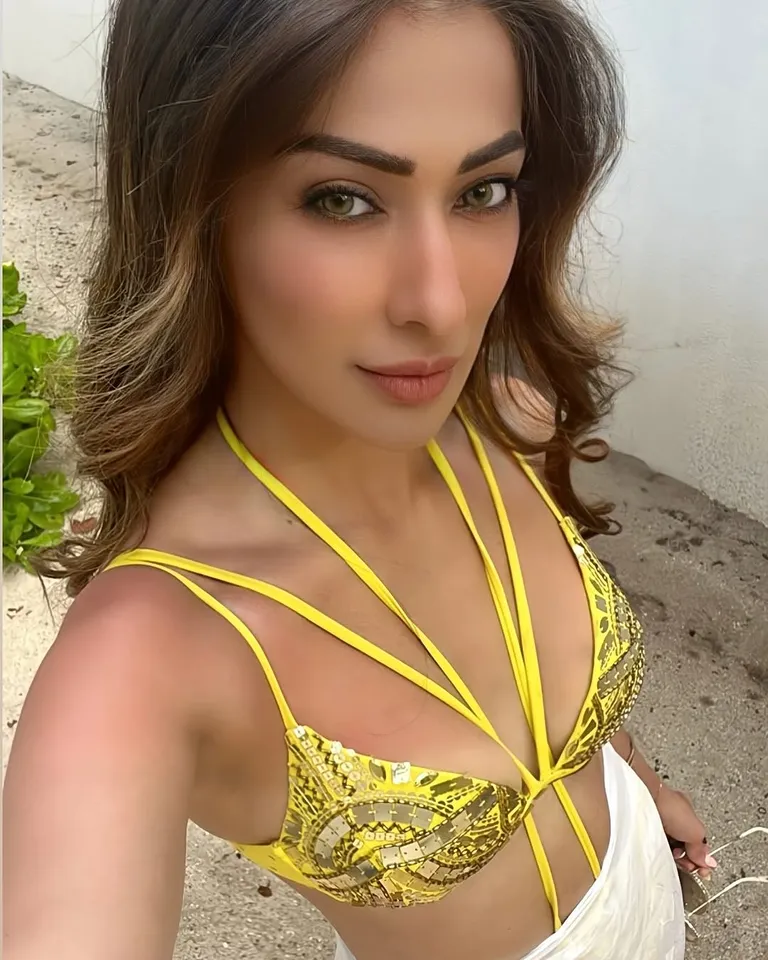 Lakshmi Rai in bikini