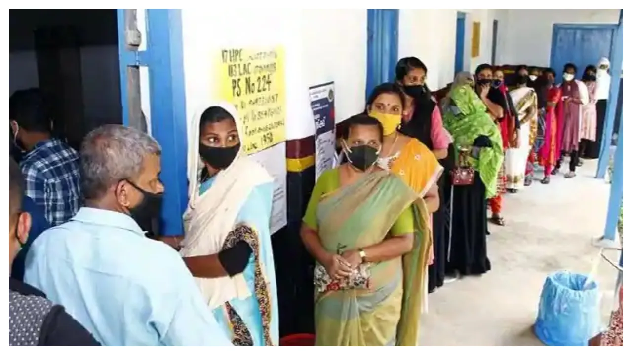 local body elections