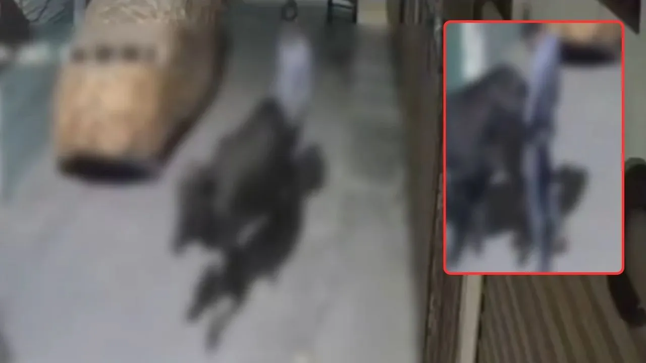 Madhya Pradesh Indore Man sexually assaulted cow