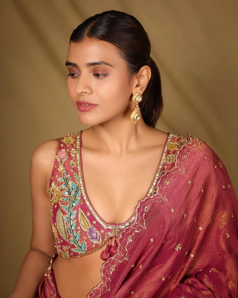 Hebah Patel saree photos