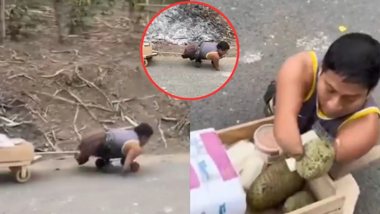 viral video today