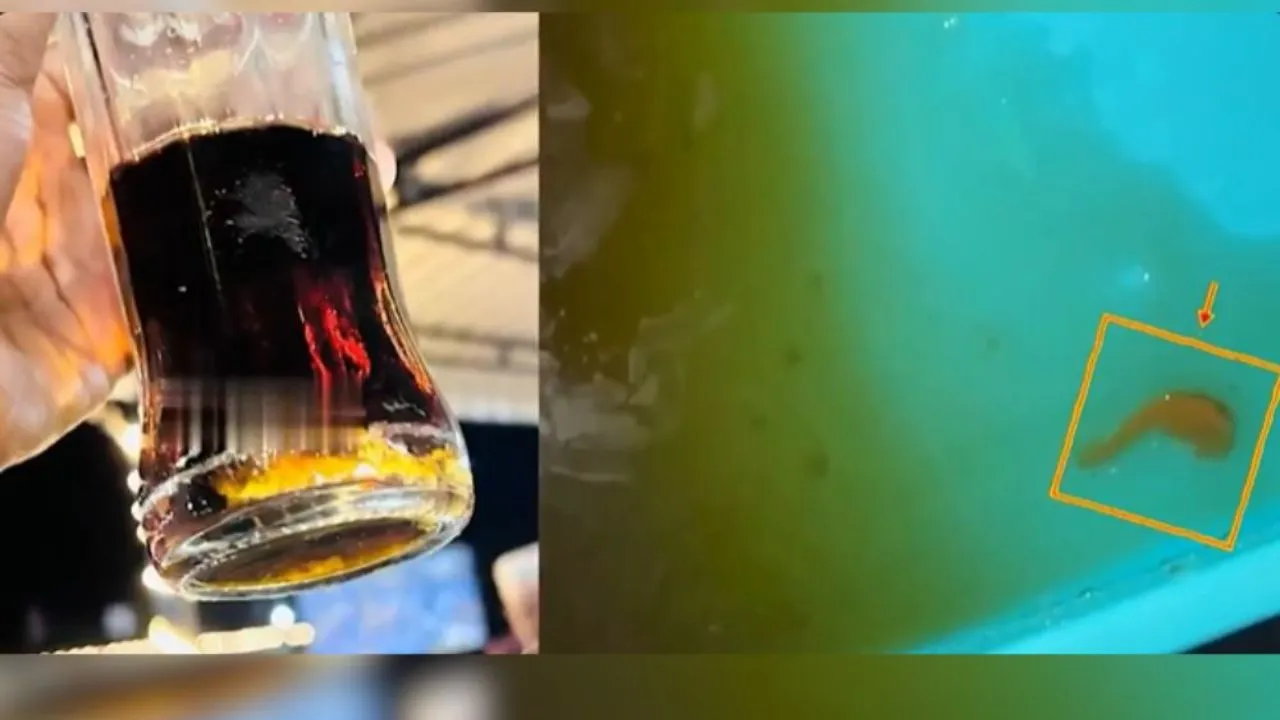 Lizard in Cool Drink Shocks Diners in Hyderabad