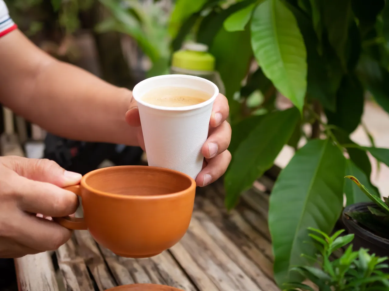 Paper Cup Tea