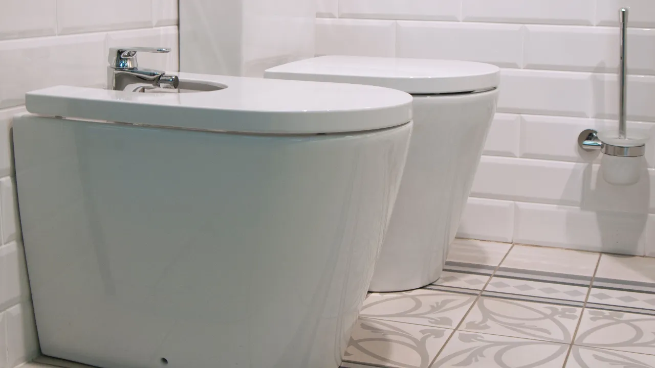 toilets dual flushes