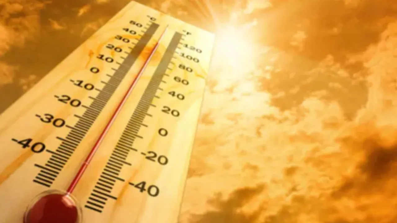 heat waves tg