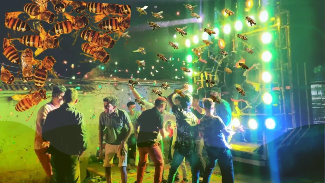 Honey Bees Attack