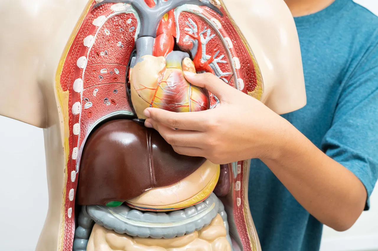 Heart Diseases