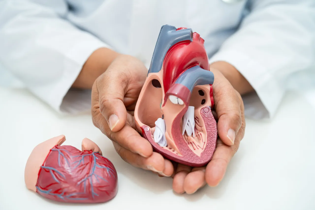 Heart Diseases