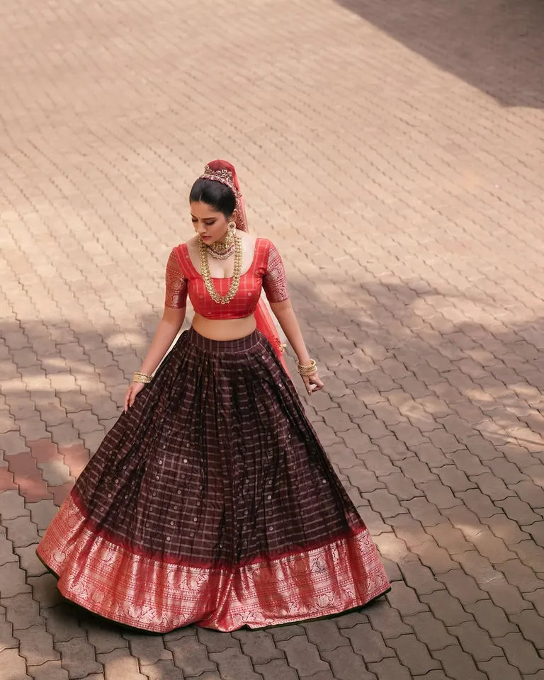 Nabha Natesh traditional pic five