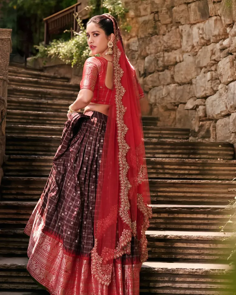 Nabha Natesh traditional pic four