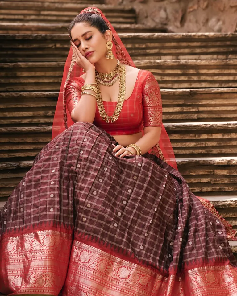 Nabha Natesh traditional pic one