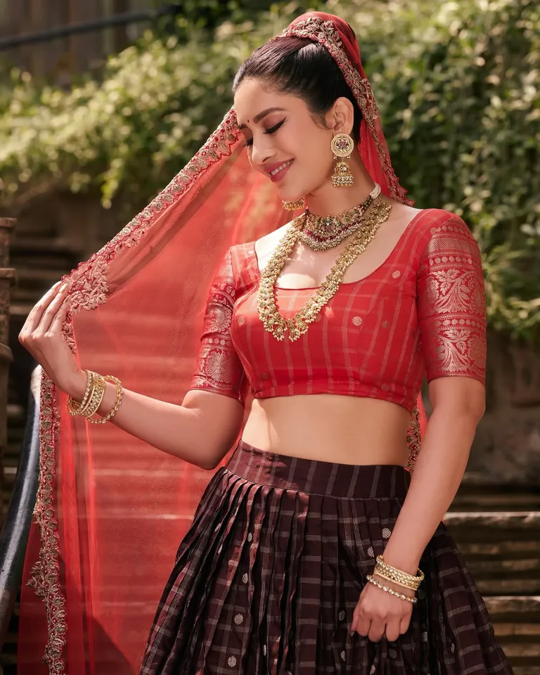 Nabha Natesh traditional pic six