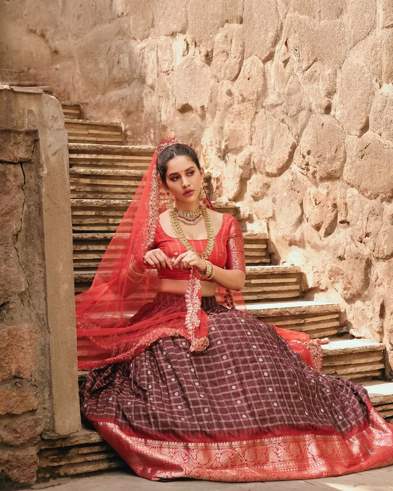 Nabha Natesh traditional pic three