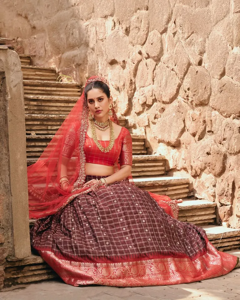 Nabha Natesh traditional pic two