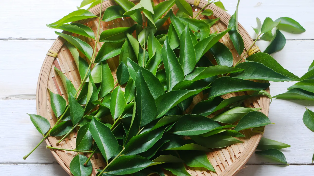 Curry leaves