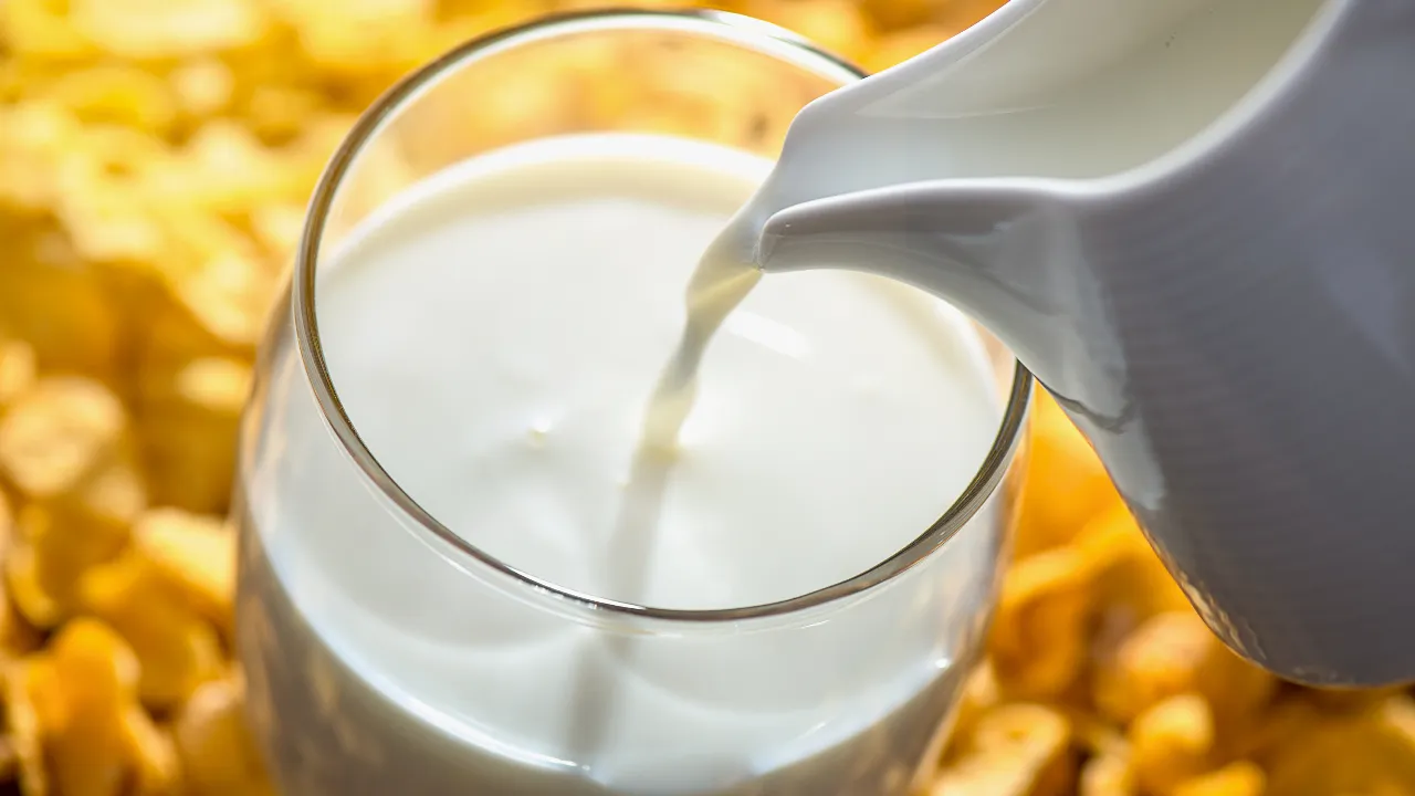 milk
