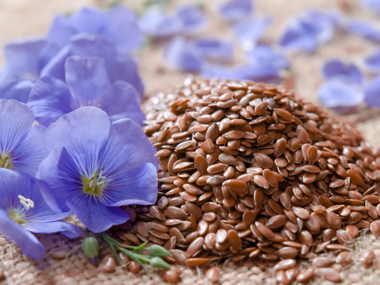 curd and seeds
