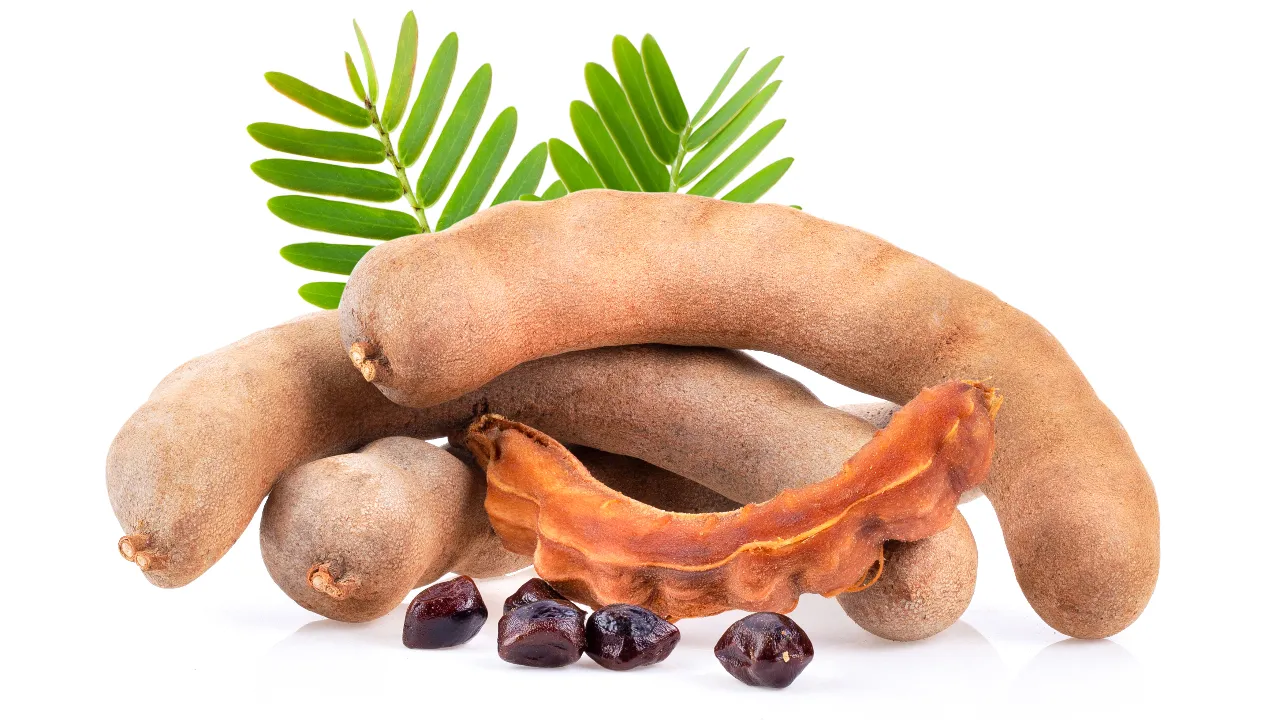 Tamarind