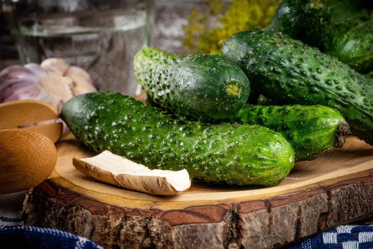 Cucumber