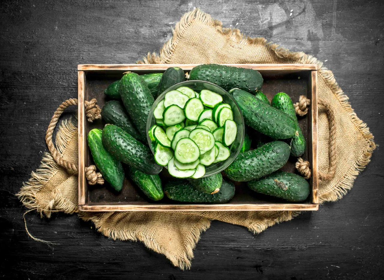 Cucumber