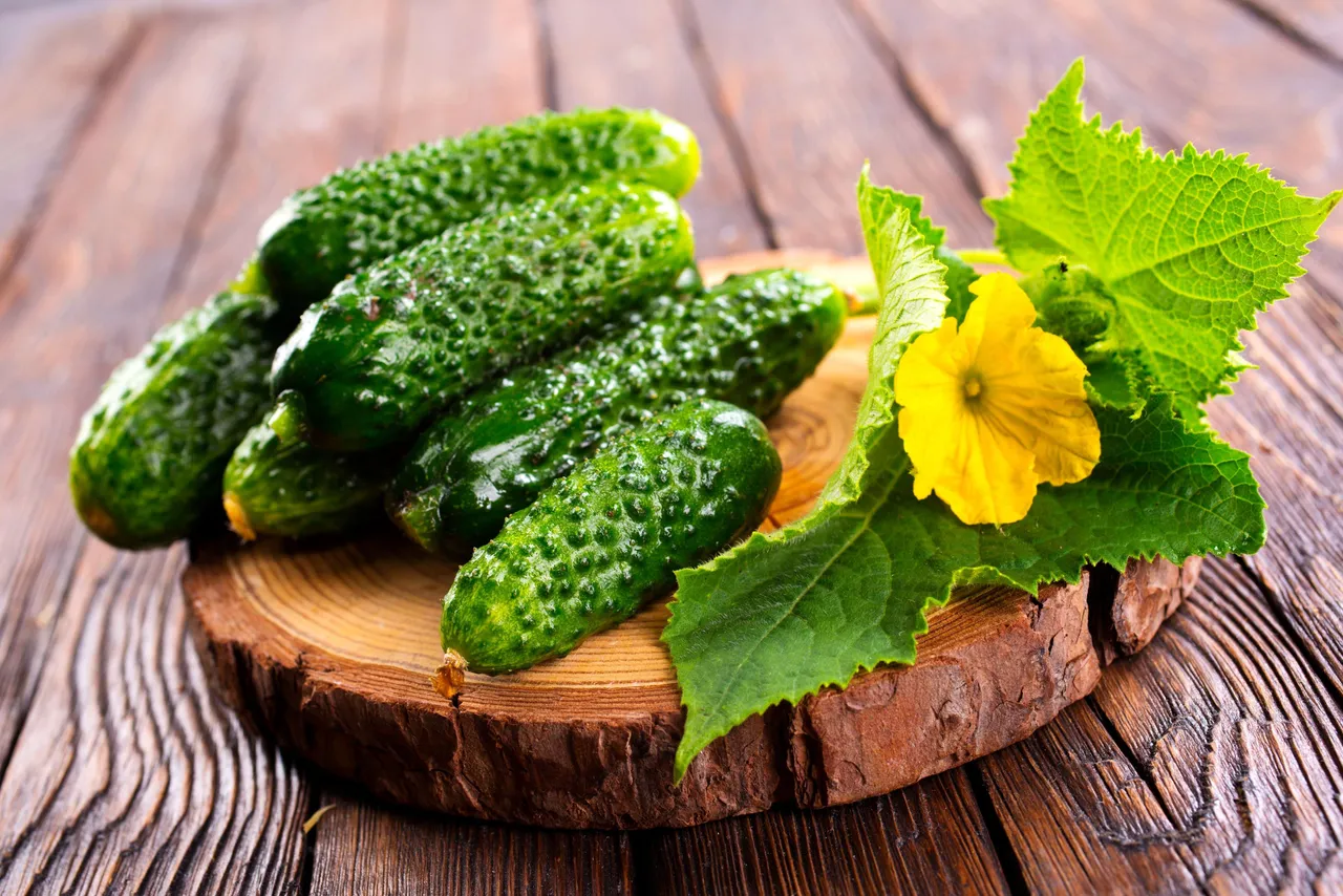 Cucumber
