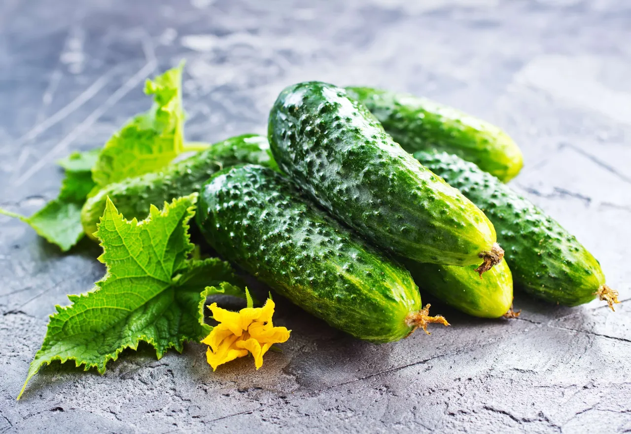 Cucumber