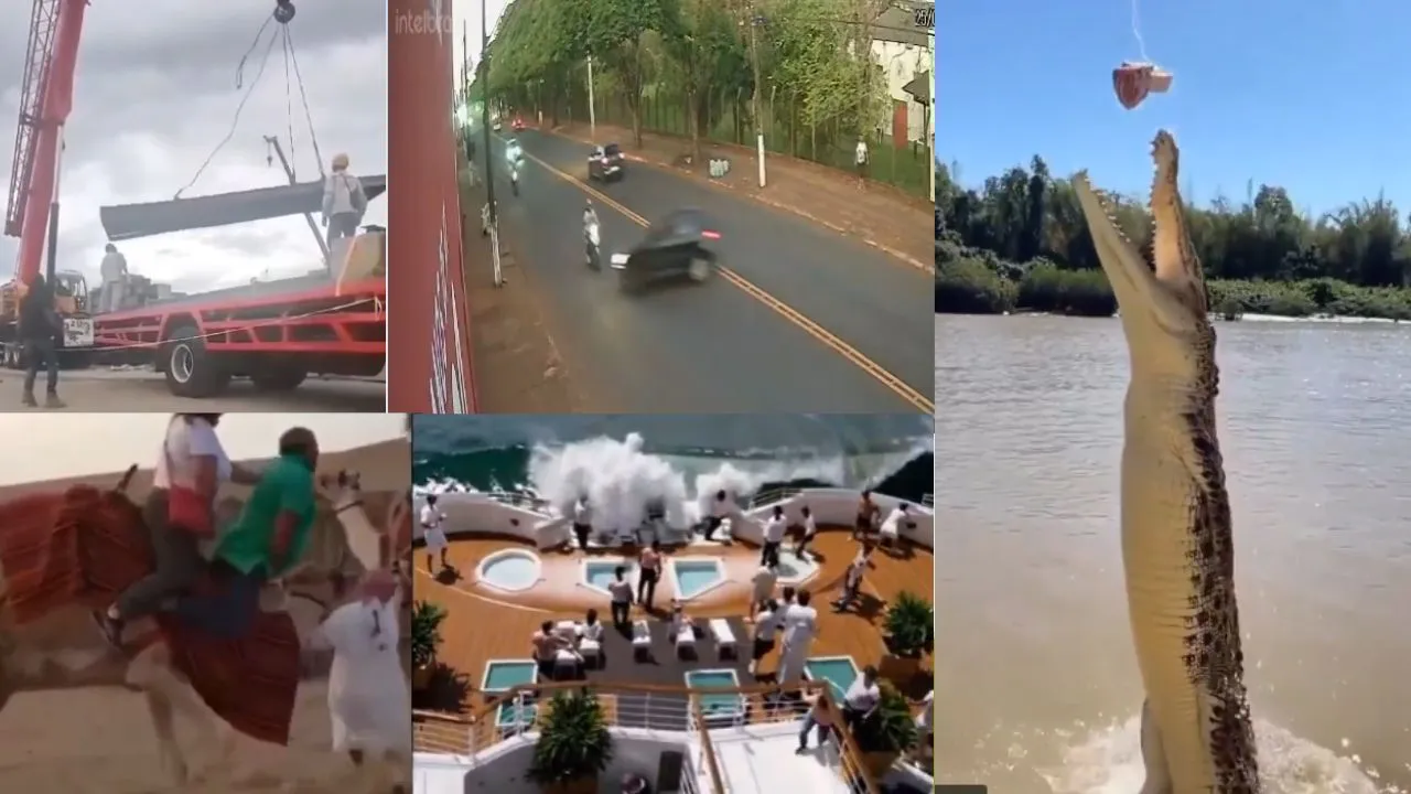 viral videos